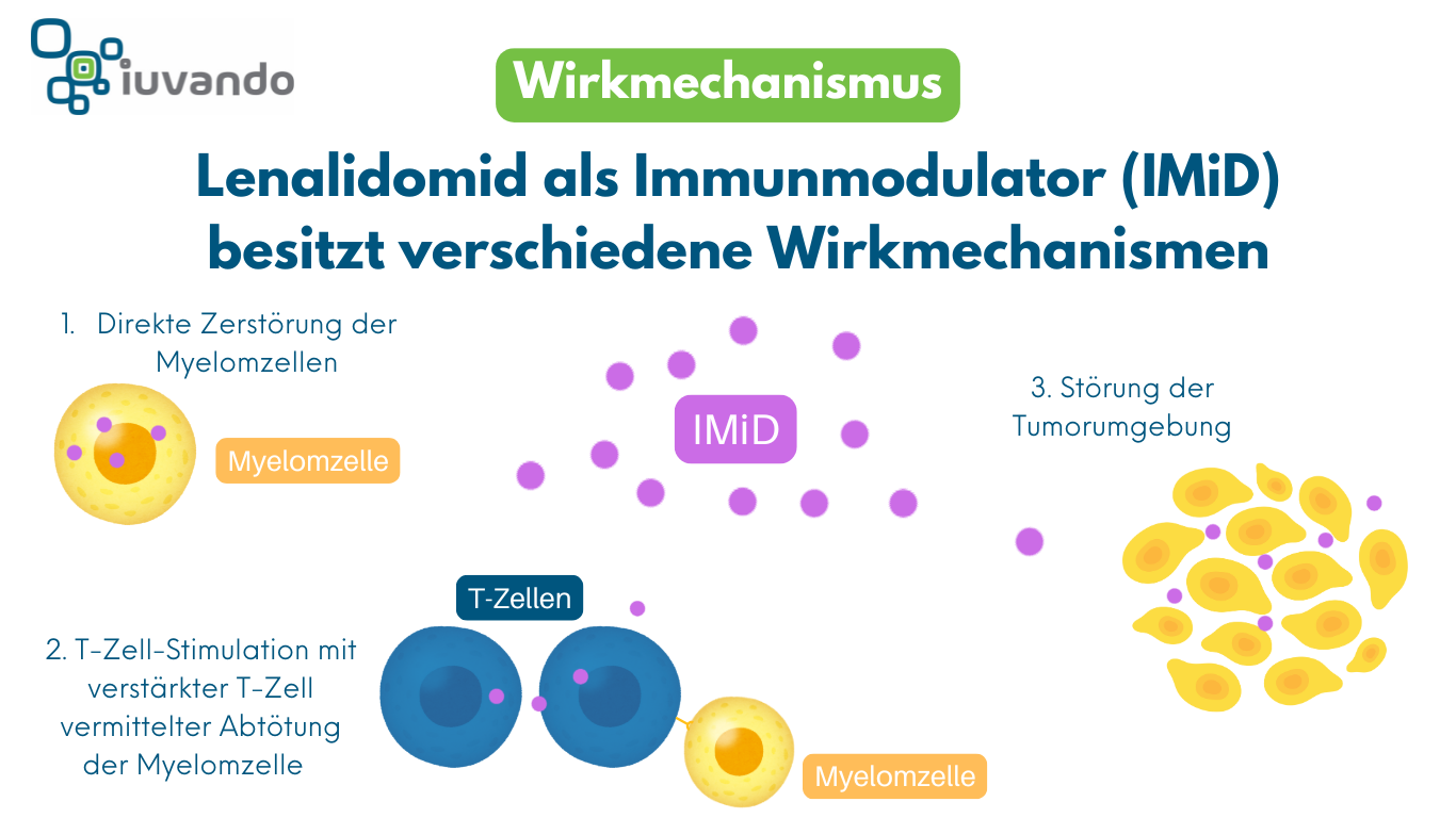 Schematische Darstellung der Wirkmechnismen von Lenalidomid beim Multiplen Myelom. 