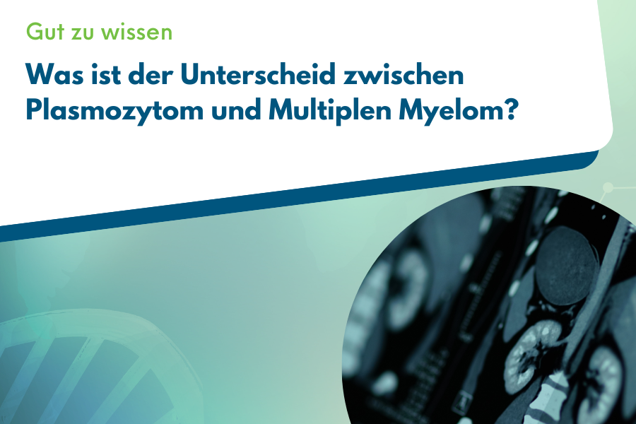 Titelbild Was ist der Unterschied zwischen Plasmozytom und Multiplen Myelom mit schematischer Darstellung einer Computertomographie der Wirbelsäule.